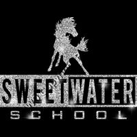 GLT55 SILVER GLITTER Thumbnail